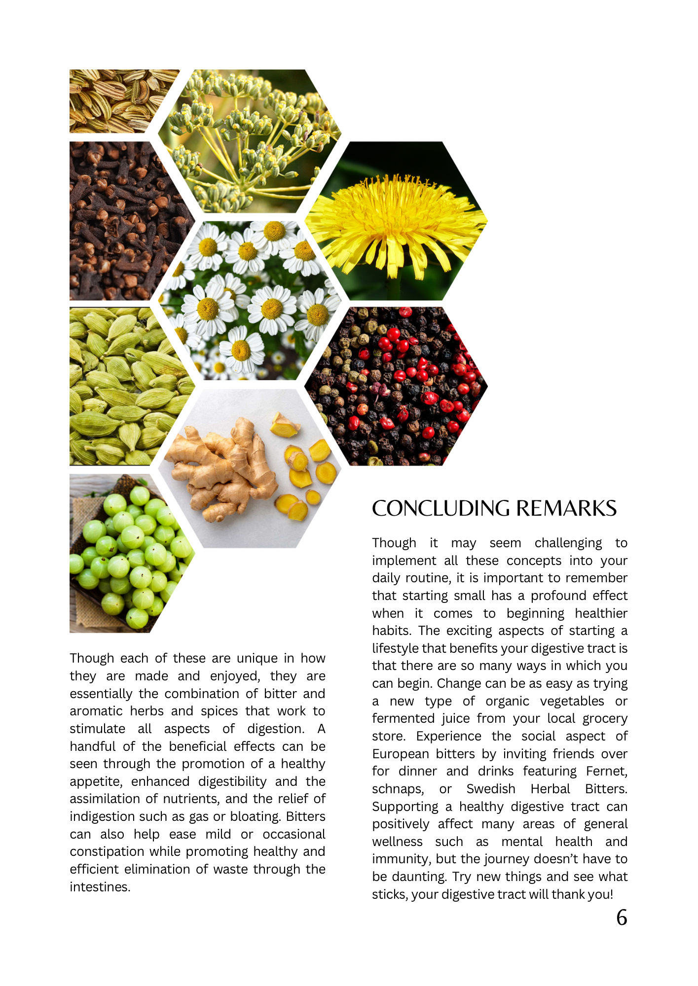 Digestive Health editorial, page 6