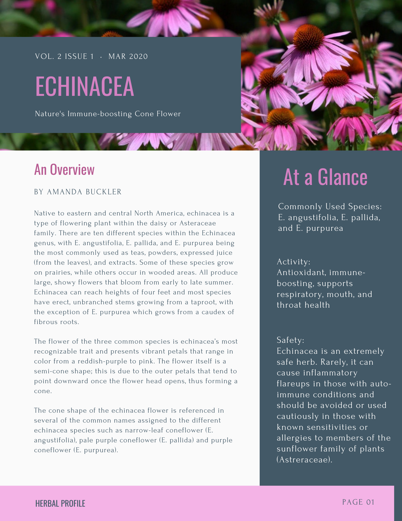 Echinacea herbal profile, page 1