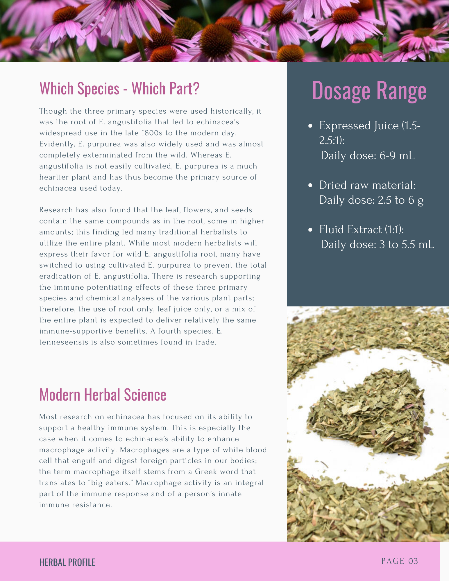 Echinacea herbal profile, page 3