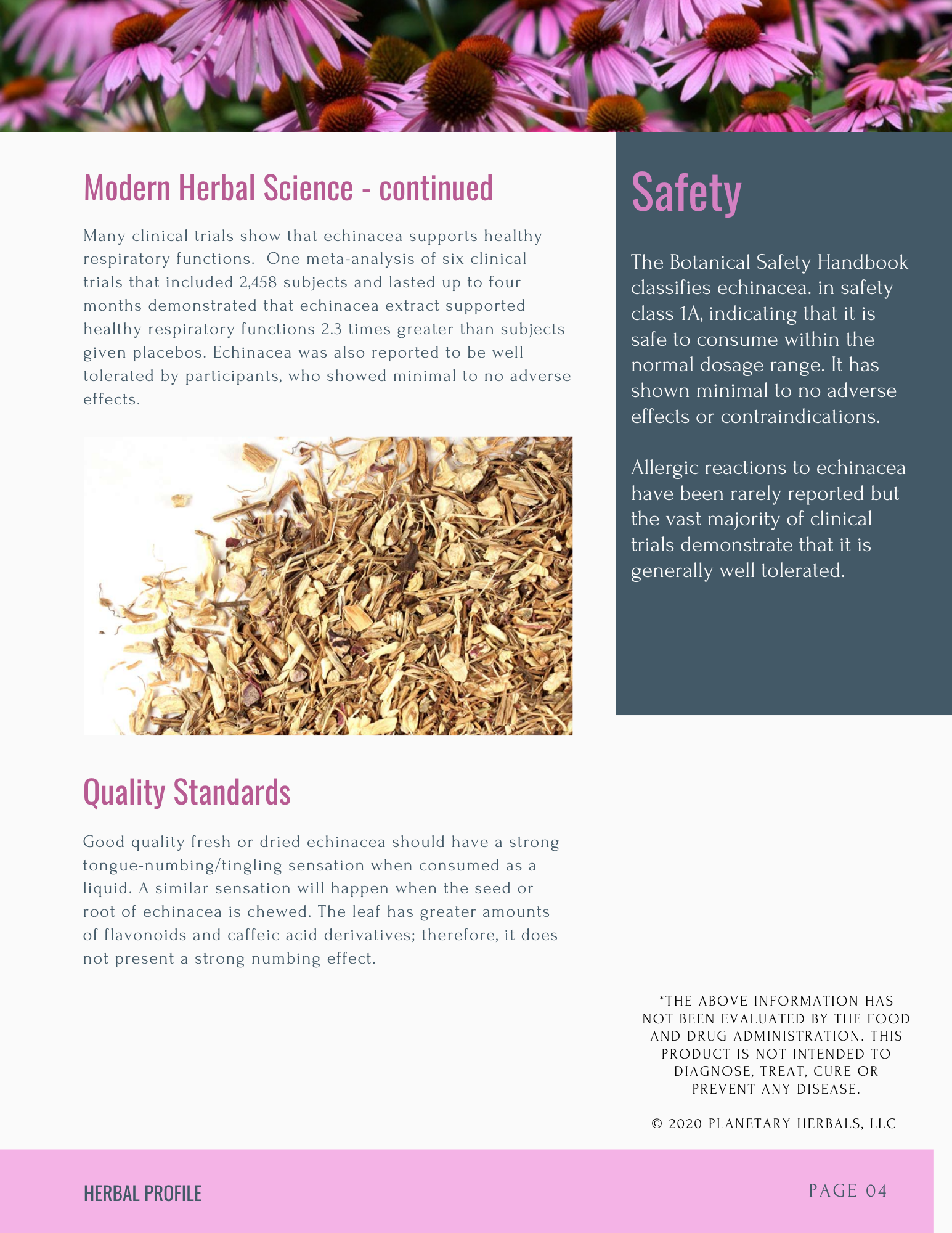 Echinacea herbal profile, page 4